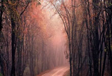 HTH:库里生涯15次砍下50+,超越詹姆斯14次50+独占历史第7.