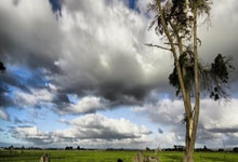 马来西亚羽毛球公开赛:安洗莹成功卫冕 石宇奇力克强敌夺冠.