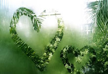 [NBA]亚历山大31分 雷霆客场击败雄鹿.